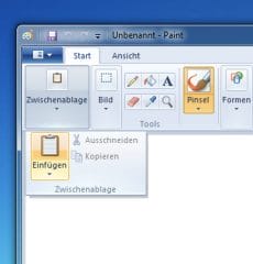 Screenshot in Windows Vista's Paint einfügen